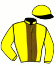 casaque portée par Seguy V. jockey du cheval de course BABY GROOM, information pmu ZETURF