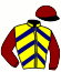 casaque portée par Seguy V. jockey du cheval de course SPANISH BLOOD, information pmu ZETURF