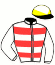 casaque portée par Peslier O. jockey du cheval de course DODOMA, information pmu ZETURF