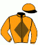 casaque portée par Cadel C. jockey du cheval de course LADY MONTAIGU, information pmu ZETURF