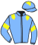 casaque portée par Topin Mme S. jockey du cheval de course ROI MERCURE, information pmu ZETURF