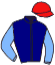 casaque portée par Lefebvre Mr C. jockey du cheval de course KERMILLIS, information pmu ZETURF