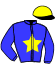 casaque portée par Chenet V. jockey du cheval de course VALDIPAUL, information pmu ZETURF casaque portée par Chenet V. jockey du cheval de course VALDIPAUL, information pmu ZETURF