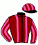 casaque portée par Mayeur R. jockey du cheval de course NIL DE BALLON, information pmu ZETURF casaque portée par Mayeur R. jockey du cheval de course NIL DE BALLON, information pmu ZETURF