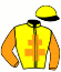 casaque portée par Nabet K. jockey du cheval de course IT'S WELL, information pmu ZETURF casaque portée par Nabet K. jockey du cheval de course IT'S WELL, information pmu ZETURF