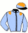 casaque portée par Brechet Léo P. jockey du cheval de course PETE THE GARDENER, information pmu ZETURF