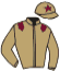 casaque portée par Blanchouin T. jockey du cheval de course RAYO DE LUZ, information pmu ZETURF casaque portée par Blanchouin T. jockey du cheval de course RAYO DE LUZ, information pmu ZETURF