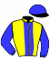casaque portée par Topin Mme S. jockey du cheval de course DAYDREAMS, information pmu ZETURF casaque portée par Topin Mme S. jockey du cheval de course DAYDREAMS, information pmu ZETURF