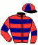 casaque portée par De Giles F. jockey du cheval de course CHATAIGNIER, information pmu ZETURF casaque portée par De Giles F. jockey du cheval de course CHATAIGNIER, information pmu ZETURF