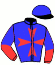 casaque portée par Veron F. jockey du cheval de course LEON DA CLODIA, information pmu ZETURF casaque portée par Veron F. jockey du cheval de course LEON DA CLODIA, information pmu ZETURF