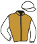 casaque portée par Foulon M. jockey du cheval de course MALLORCA SUN, information pmu ZETURF casaque portée par Foulon M. jockey du cheval de course MALLORCA SUN, information pmu ZETURF