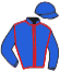 casaque portée par Paillard S. jockey du cheval de course ALECTO DU LIA, information pmu ZETURF