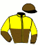 casaque portée par Paillard S. jockey du cheval de course LIZONNE, information pmu ZETURF