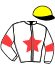 casaque portée par Brechet Léo P. jockey du cheval de course JALISCA DU GIVRE, information pmu ZETURF casaque portée par Brechet Léo P. jockey du cheval de course JALISCA DU GIVRE, information pmu ZETURF