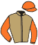 casaque portée par Journiac Tho. jockey du cheval de course ILLICO, information pmu ZETURF