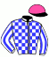 casaque portée par Valle Skar Mlle F. jockey du cheval de course IRBIS, information pmu ZETURF casaque portée par Valle Skar Mlle F. jockey du cheval de course IRBIS, information pmu ZETURF
