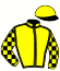 casaque portée par Villesalmon R. jockey du cheval de course EVEREST UP (FR), information pmu ZETURF