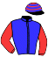 casaque portée par Cypria Mat. jockey du cheval de course HAPPY DES BRUYERES, information pmu ZETURF