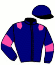 casaque portée par Potier Mat. jockey du cheval de course FALAKI DE CAHOT, information pmu ZETURF