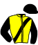 casaque portée par Roullier Tho. jockey du cheval de course IGNACE DE BAUBRIE, information pmu ZETURF
