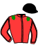 casaque portée par Mlle. Lepage M. jockey du cheval de course ISOLACCIO, information pmu ZETURF casaque portée par Mlle. Lepage M. jockey du cheval de course ISOLACCIO, information pmu ZETURF