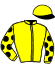 casaque portée par Roussel Ale. jockey du cheval de course POWER LIFE (FR), information pmu ZETURF