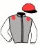 casaque portée par Meyer Mlle M. jockey du cheval de course ILLUMINATOR (FR), information pmu ZETURF