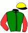 casaque portée par Avenel D. jockey du cheval de course ESPOIR VENESI (FR), information pmu ZETURF