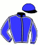 casaque portée par Sebaoun Mar. A. jockey du cheval de course DIANA JARZEENNE (FR), information pmu ZETURF