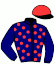 casaque portée par De Vaugiraud A. jockey du cheval de course FUGITIF DE PO (FR), information pmu ZETURF
