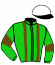 casaque portée par Nicoleau J. jockey du cheval de course DON RAMIRO (IE), information pmu ZETURF
