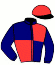 casaque portée par Darlay Mlle L. jockey du cheval de course IDEAL BERG, information pmu ZETURF