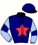 casaque portée par Bigeon Ch. J. jockey du cheval de course JADE DE GUEHAM, information pmu ZETURF