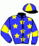 casaque portée par Guinoiseau L. jockey du cheval de course HISTOIRE DU LOIR, information pmu ZETURF