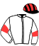 casaque portée par Monclin J. Ph. jockey du cheval de course JOYEUX DES SOURCES, information pmu ZETURF