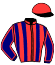 casaque portée par Bourgeais A. jockey du cheval de course JUST A PERFECT DAY, information pmu ZETURF