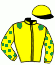casaque portée par Crublet E. jockey du cheval de course CHOICE FRENCH BAY, information pmu ZETURF
