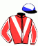 casaque portée par Rousseau L. jockey du cheval de course DAYAK, information pmu ZETURF