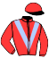 casaque portée par D' Andigne O. jockey du cheval de course KANZA, information pmu ZETURF