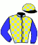 casaque portée par Gavilan Ale. jockey du cheval de course GREENWOOD, information pmu ZETURF