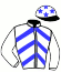 casaque portée par Alexandre Roussel jockey du cheval de course KHAMEPHIS GAME, information pmu ZETURF