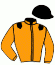 casaque portée par Boisseau L. jockey du cheval de course SUDDEN DEATH, information pmu ZETURF casaque portée par Boisseau L. jockey du cheval de course SUDDEN DEATH, information pmu ZETURF