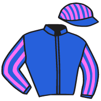 casaque portée par Boisseau L. jockey du cheval de course KEDUREV, information pmu ZETURF casaque portée par Boisseau L. jockey du cheval de course KEDUREV, information pmu ZETURF
