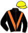 casaque portée par Corallo E. jockey du cheval de course BETTER TOMORROW, information pmu ZETURF