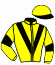 casaque portée par Lebouc Hug. jockey du cheval de course MARILLAWOOD, information pmu ZETURF casaque portée par Lebouc Hug. jockey du cheval de course MARILLAWOOD, information pmu ZETURF