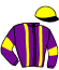casaque portée par Blachet B. jockey du cheval de course GREAT KILLS, information pmu ZETURF casaque portée par Blachet B. jockey du cheval de course GREAT KILLS, information pmu ZETURF