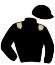 casaque portée par Rochard B. jockey du cheval de course JEAN MAJYC, information pmu ZETURF