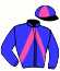 casaque portée par Raffin O. jockey du cheval de course INTREPIDE DES BOIS, information pmu ZETURF casaque portée par Raffin O. jockey du cheval de course INTREPIDE DES BOIS, information pmu ZETURF