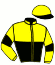 casaque portée par Marty R. jockey du cheval de course HERACLES DU LAYON, information pmu ZETURF casaque portée par Marty R. jockey du cheval de course HERACLES DU LAYON, information pmu ZETURF