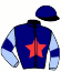 casaque portée par Bonne D. jockey du cheval de course LOULOU DAB, information pmu ZETURF